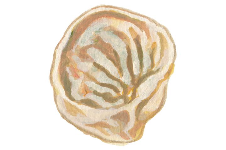  鴻奈緒 イラスト