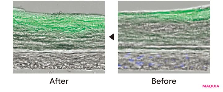 お値打ちなのに効果大。PRが本気で推すプチプラスキンケアの秘密_14