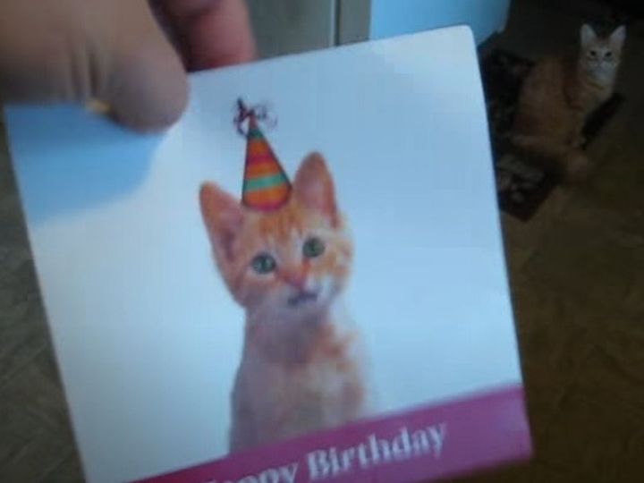 背後から感じる視線…