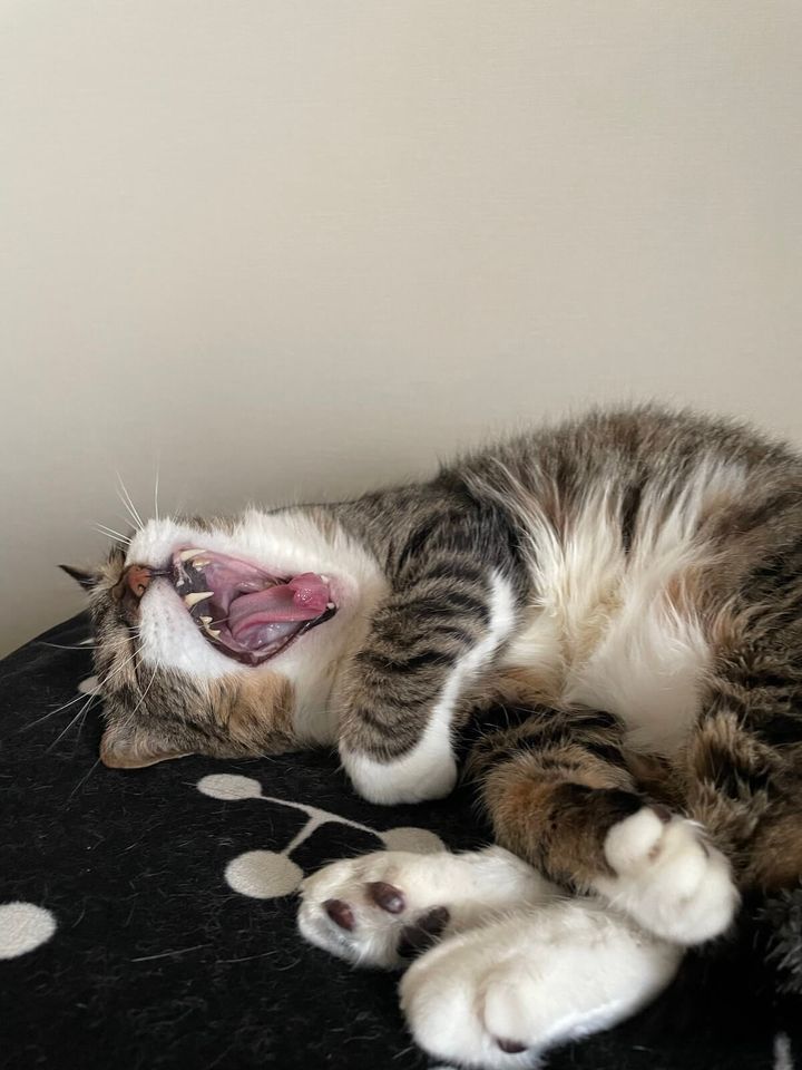 週末を待ち焦がれる雄叫び投稿