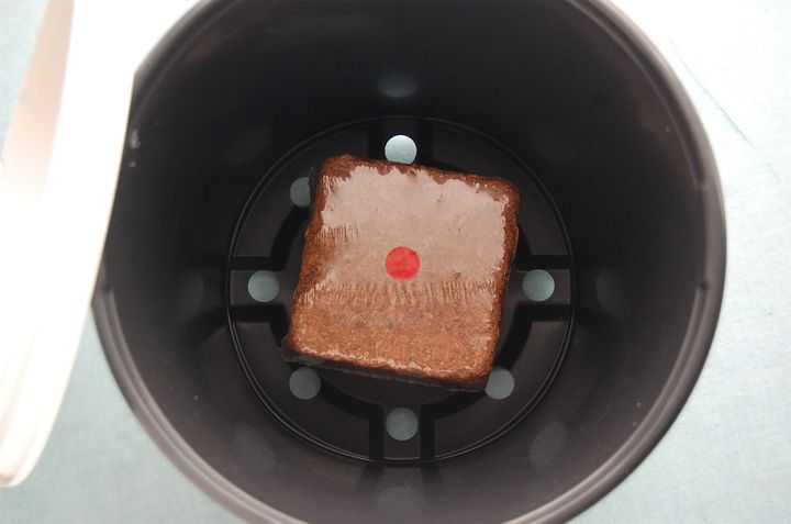 カップヌードル