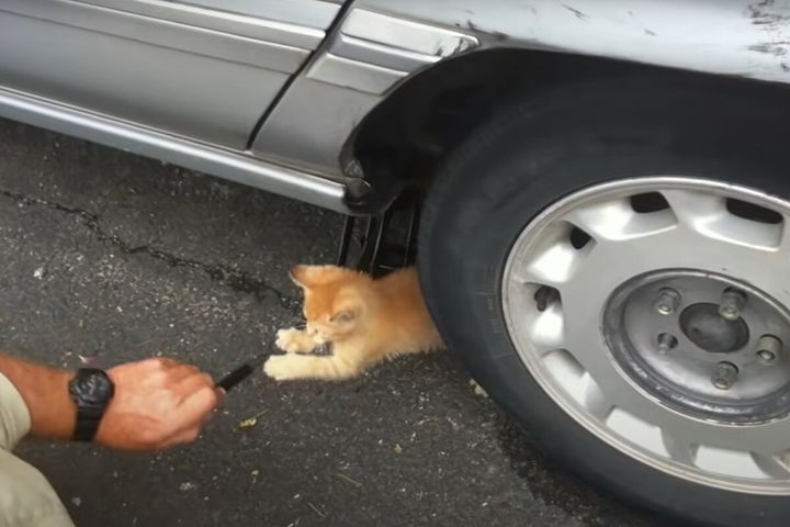 出典：TaylorOnTheMic