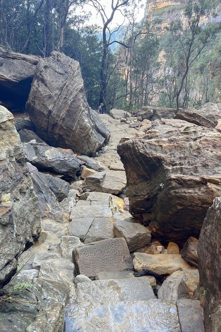 【シドニーの旅案内】 壮大な自然を感じる山登り！：モデル・道木マヤのオーストラリア旅 第2回