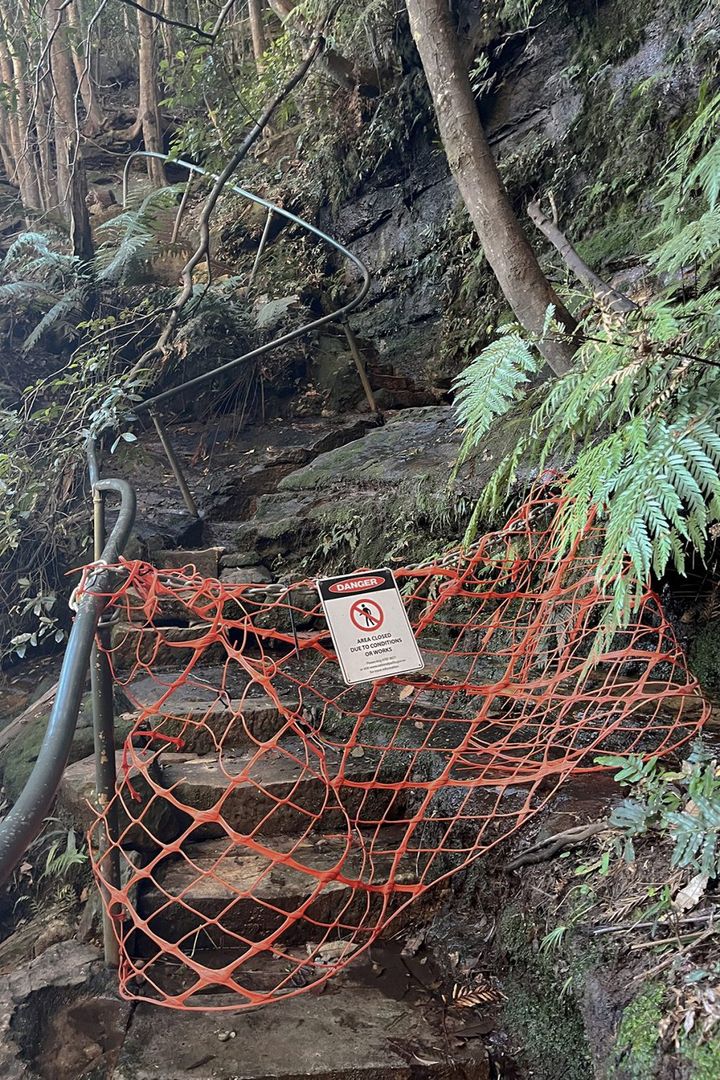 【シドニーの旅案内】 壮大な自然を感じる山登り！：モデル・道木マヤのオーストラリア旅 第2回