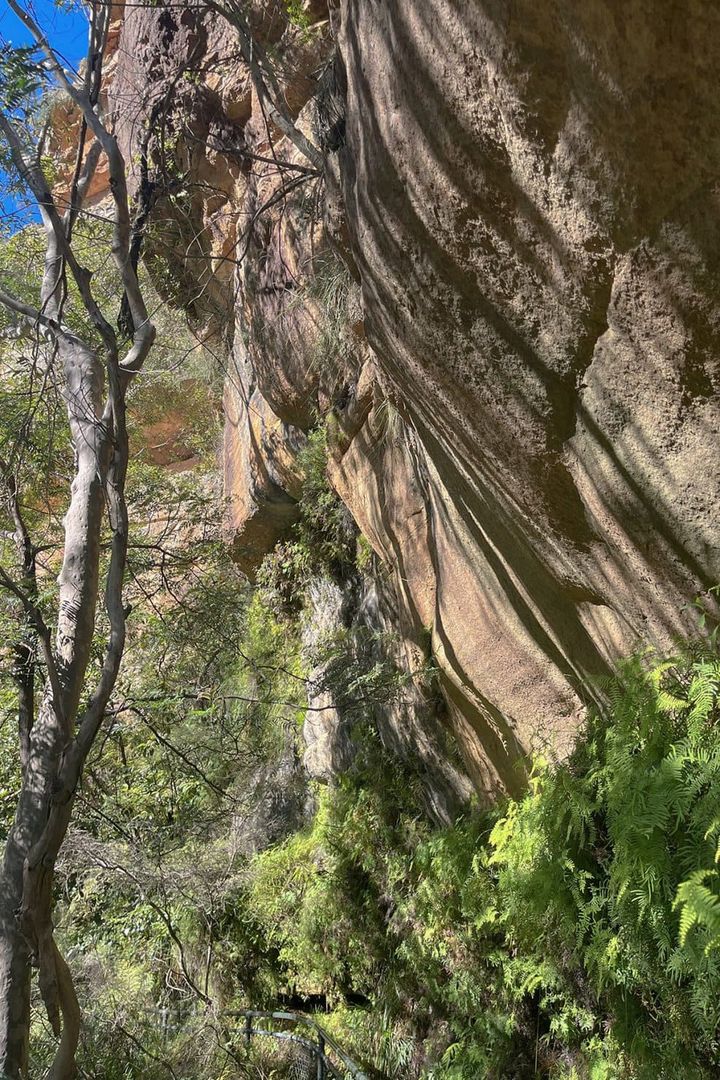 【シドニーの旅案内】 壮大な自然を感じる山登り！：モデル・道木マヤのオーストラリア旅 第2回