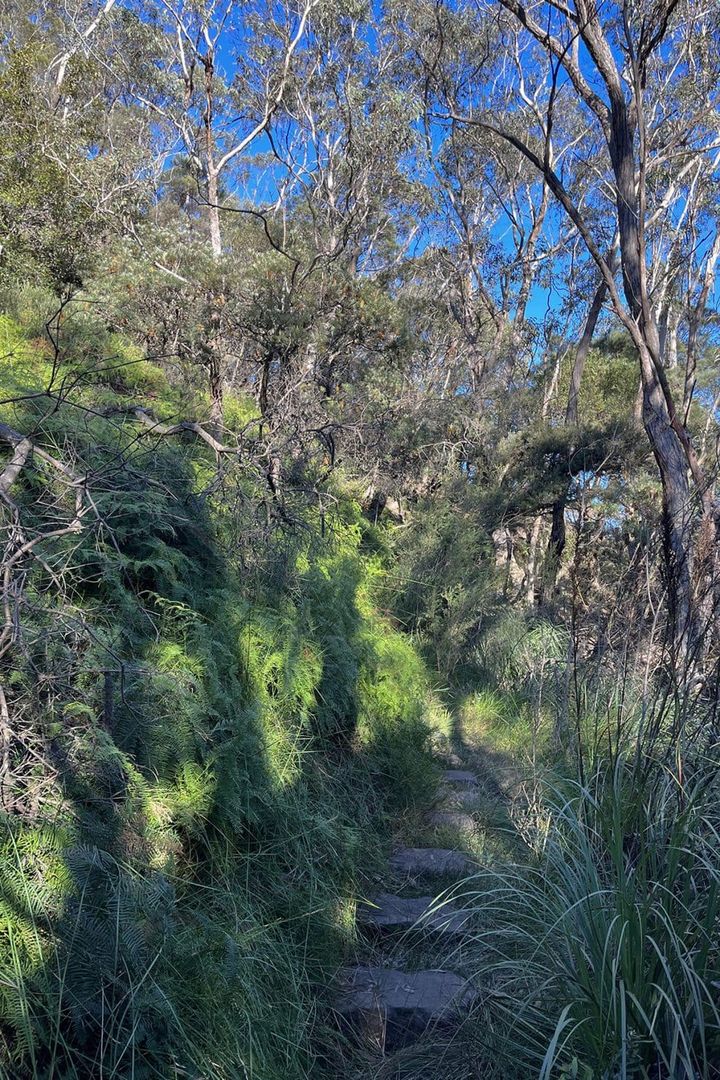 【シドニーの旅案内】 壮大な自然を感じる山登り！：モデル・道木マヤのオーストラリア旅 第2回