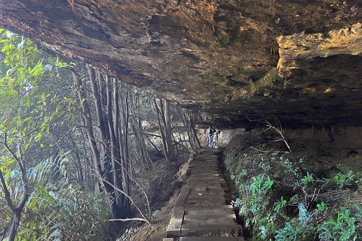 【シドニーの旅案内】 壮大な自然を感じる山登り！：モデル・道木マヤのオーストラリア旅 第2回