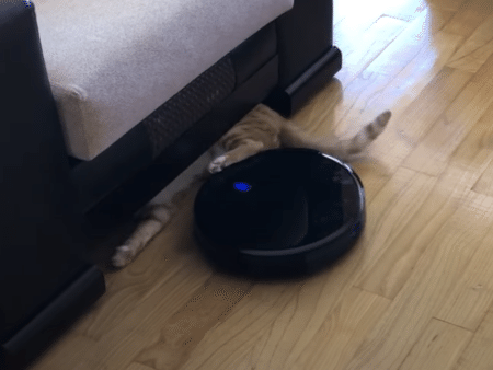 ロボット掃除機にキックする猫、まさかの反撃にびっくり！