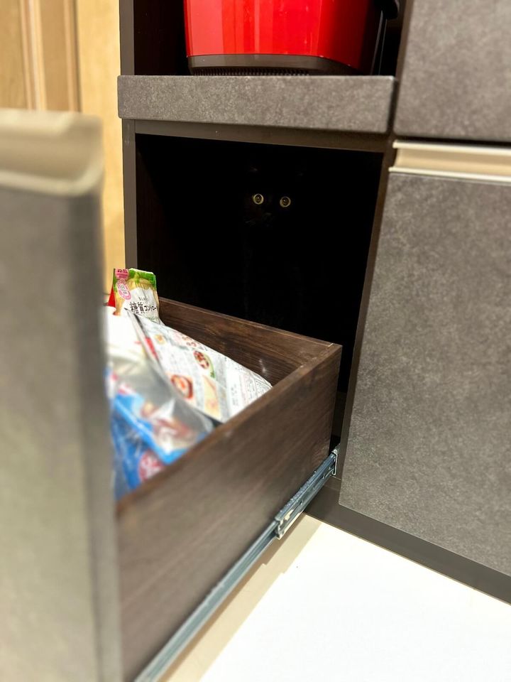 引き出しの奥に隠れた黒猫のこねろく君