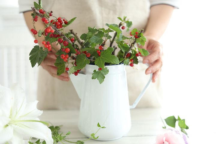 フサスグリのアレンジ