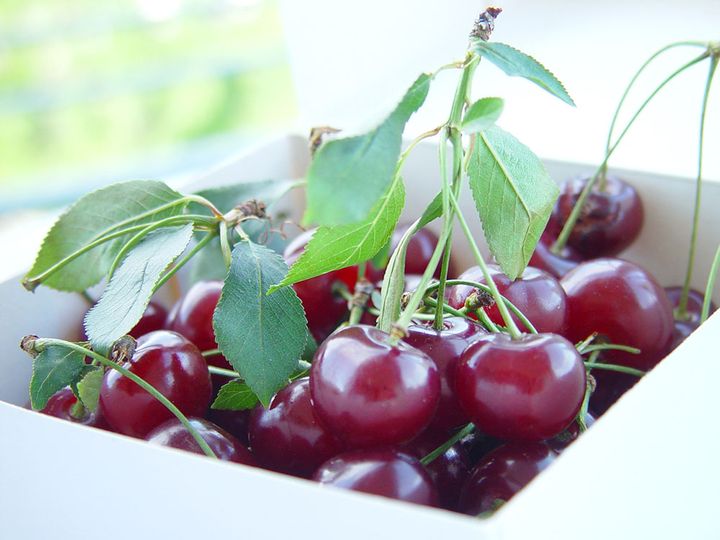 サクランボ