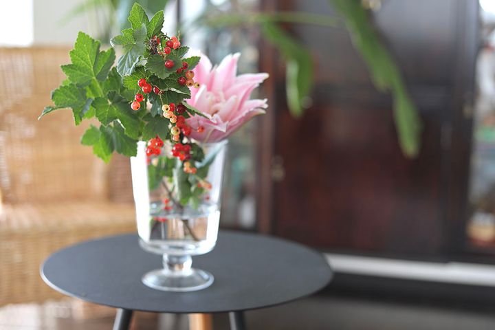 フサスグリのアレンジ