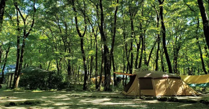 子供も安心して楽しめる！ファミリー向けのキャンプ場【関東版】