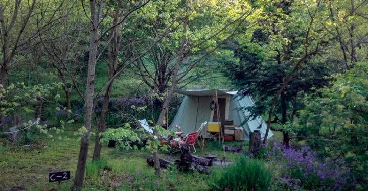 子供も安心して楽しめる！ファミリー向けのキャンプ場【関東版】