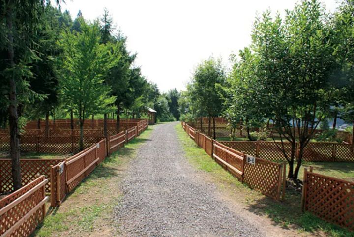 子供も安心して楽しめる！ファミリー向けのキャンプ場【関東版】