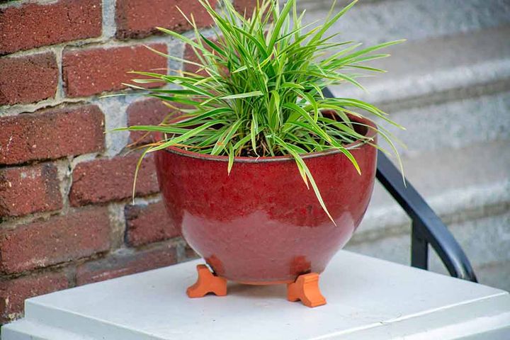 ポットフィート