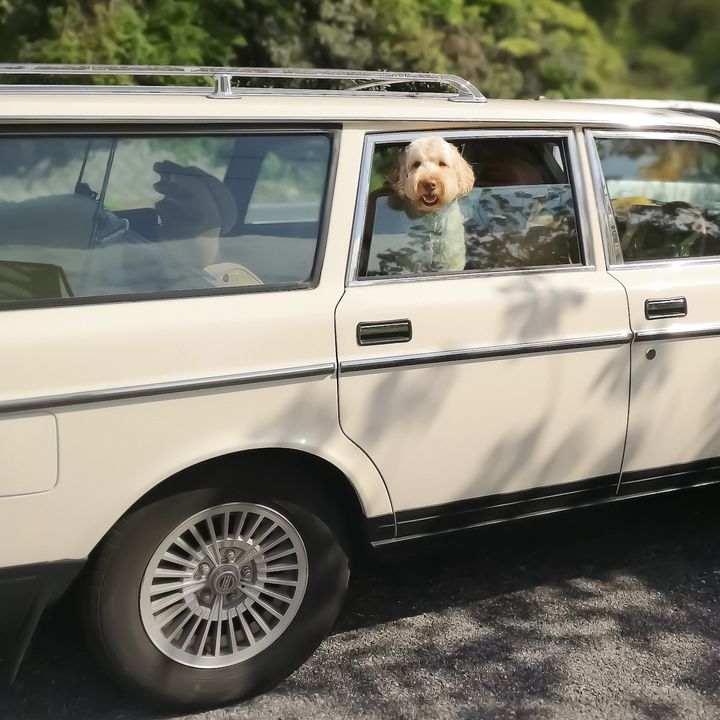 〈VOLVO〉の「240GL」