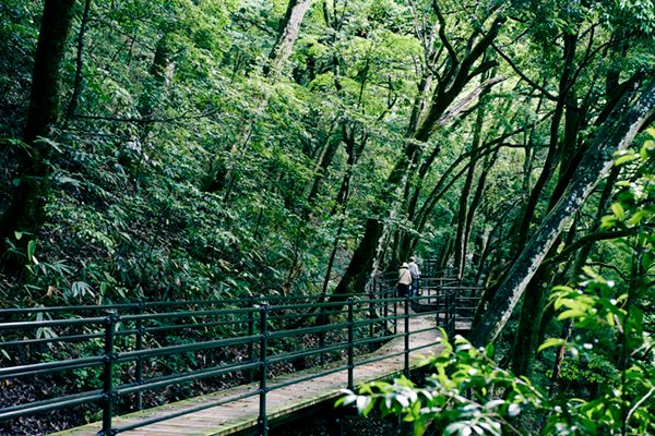 完全貸切の奥出雲グランピング！カスタム可能な自由度が最高すぎた…！