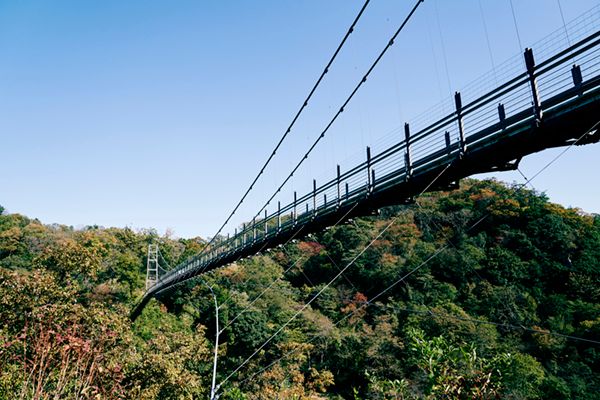完全貸切の奥出雲グランピング！カスタム可能な自由度が最高すぎた…！
