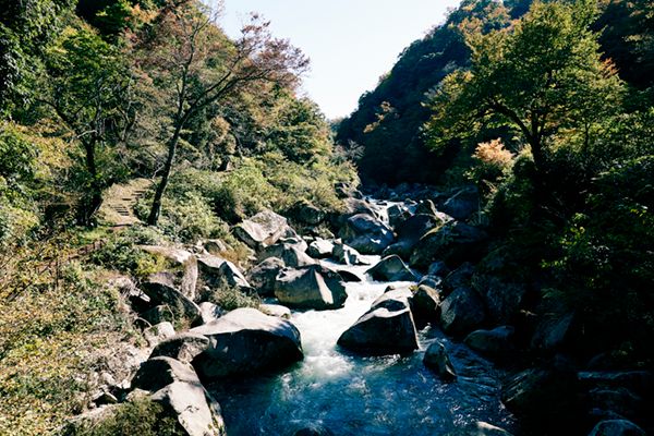 完全貸切の奥出雲グランピング！カスタム可能な自由度が最高すぎた…！