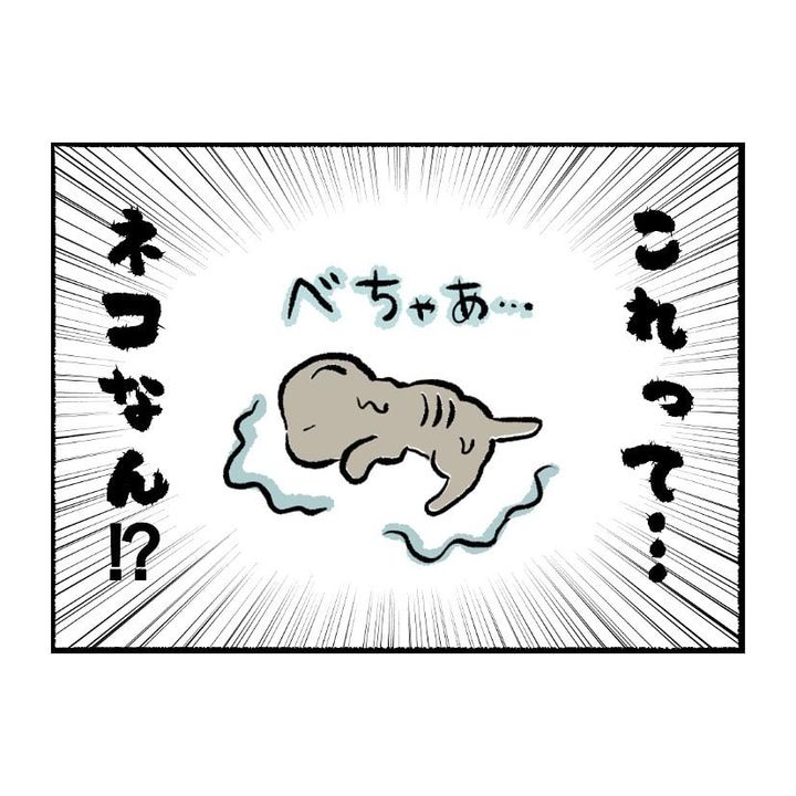 漫画「吾輩は子猫である」のカット（tamtam たまさん さん提供）
