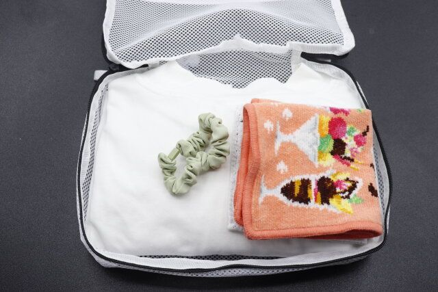 ダイソー そのまま洗えるトラベル仕分け収納ケース サイズ