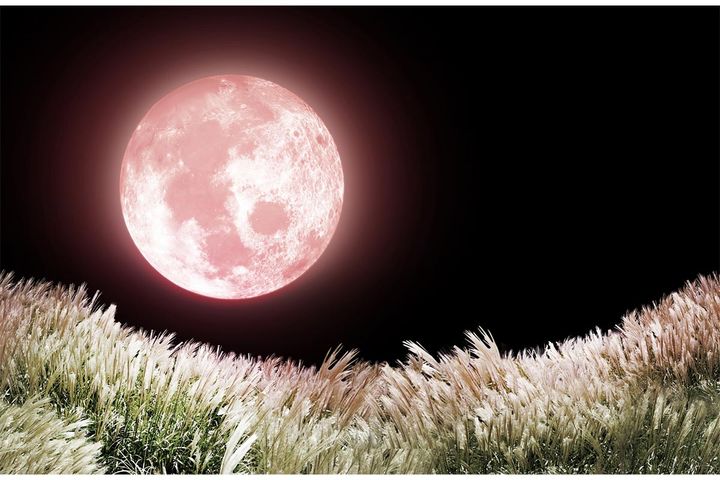 なぜ6月の満月を「ストロベリームーン」と呼ぶの？