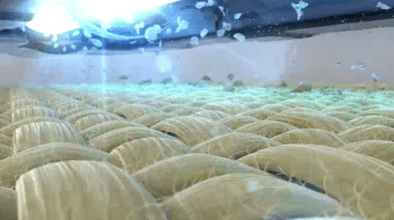 強力な吸引力イメージ画像