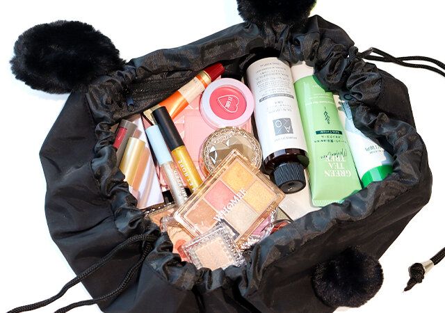 イガリシノブ 巾着ポーチ 実用例