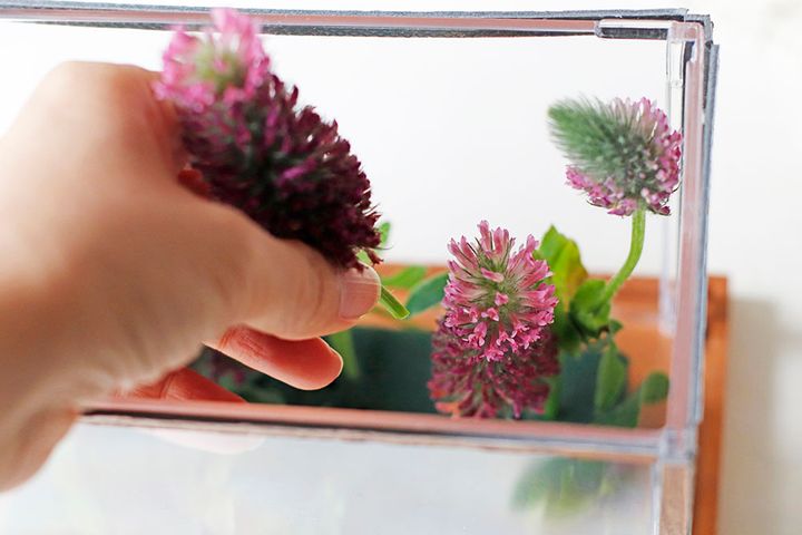 ガラスボックス風ケース作り