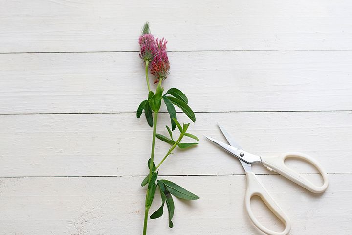 ツインキャンドル