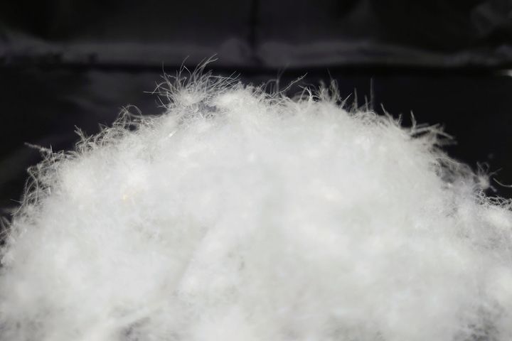 羽毛のイメージ