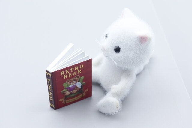 セリア ドール ブック 使用例