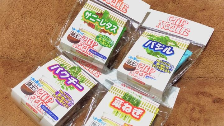 カップヌードル 野菜栽培コンプリートセット」って何？買ってみたよ 