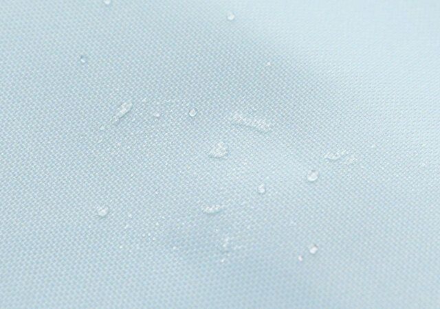 宝島社smart8・9月合併号のポケモンビッグ保冷トートバッグ付録7