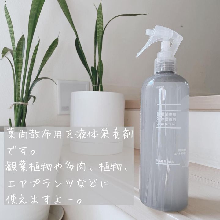 画像3: 出典：Instagram