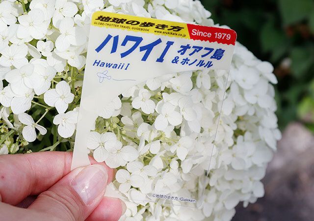 セリア 地球の歩き方 SNSフォトカード ハワイ 使い方 ピントの合わせ方