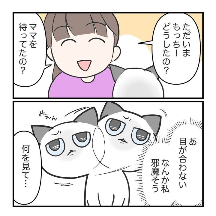 漫画「帰宅したら猫が直立していた」のカット（みえさん提供）