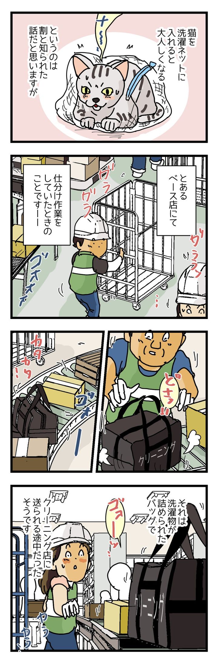 宅配便の荷物の中から ネコが救い出された話