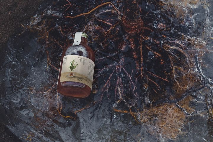 「草木炭酸FOREST SODA」、「草木蜜FOREST SYRUP」はともに、砂糖、モミ、アカマツ、黒文字、杉、ヒノキが原材料。