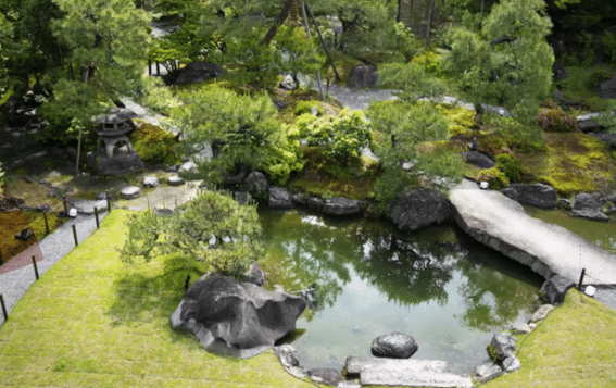 美しい庭園の画像