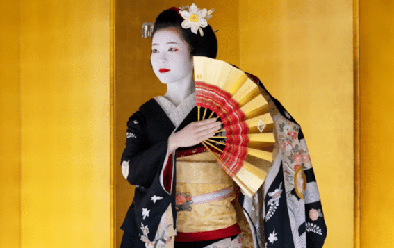 舞妓さんの画像