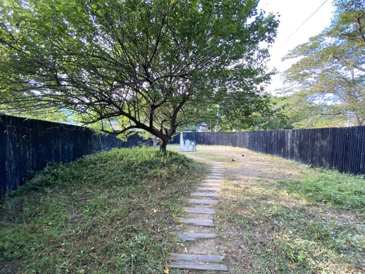 千葉の大自然とアートとピーナツを探しに出かけよう！香り高い「ピーナツクイーン」と「ピーナツ粒クリーミーバター」【旅するデザイナーがおすすめする旅先でのお土産たち！】