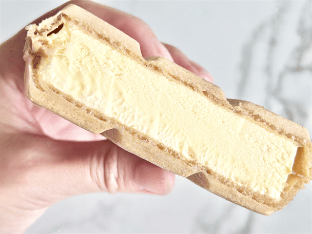 でっかいプリンモナカ 断面