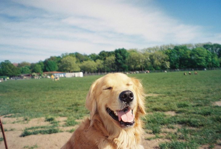 二人のライフセーバー、みっちゃん。