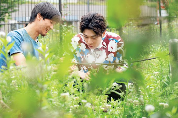 「一番身近な自然は子どもかもしれません」植物観察家・鈴木純さんとだいすけお兄さんが対談。【だいすけお兄さんのパパシュギョー！・本誌編】の画像2