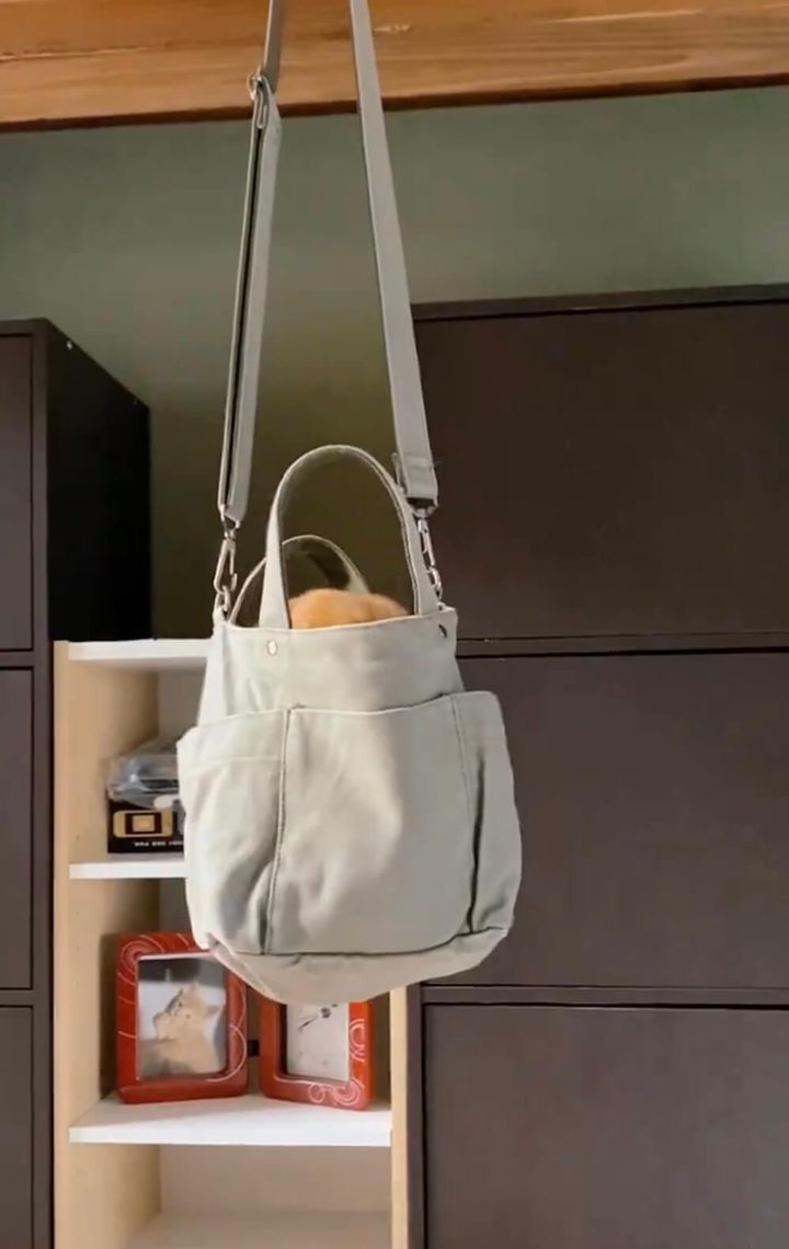 洗って干したトートバッグの中に入った茶トラ猫