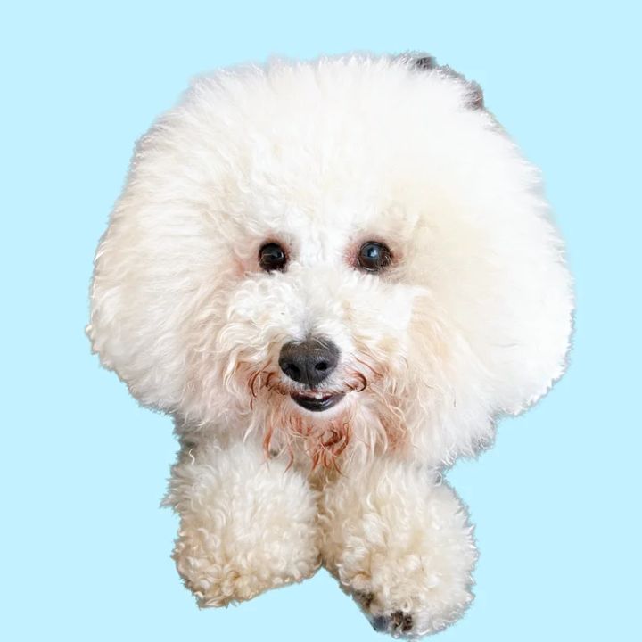 表参道の「スキンケアラウンジ バイ オルビス」行ってみた！無料も有料もサービス大満足とウワサの”美容テーマパーク”_2