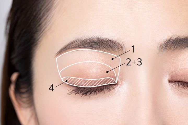 大人のためのキャンメイク図鑑 キャンメイク プティパレットアイズ 02 塗り方①