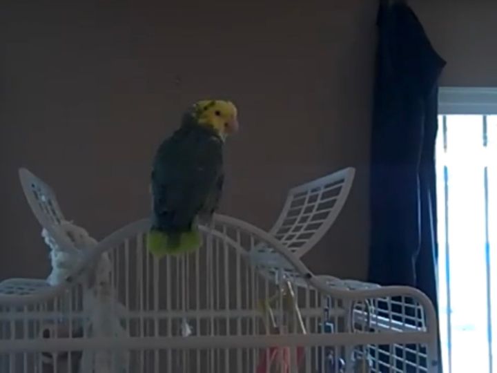 念入りに準備中…！